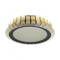 Накладной светильник Odeon Light 4994/75L фото