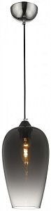 Подвесной светильник WERTMARK WE205.01.106 фото