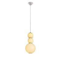Подвесной светильник LOFT IT 5045-D фото