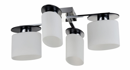 Потолочный светильник Freya FR5101-CL-04-CN фото 2