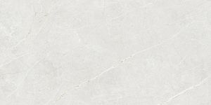 Керамогранит TAU Ceramica Elite White Matt 60x120 фото