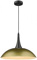 Подвесной светильник WERTMARK WE271.01.406 фото