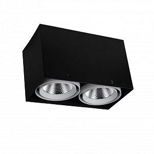 Накладной светильник Favourite 1987-2U фото