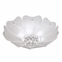 Накладной светильник Lightstar 804020 фото