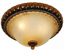 Накладной светильник WERTMARK WE343.03.627 фото