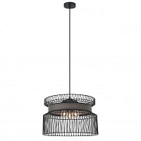 Подвесная люстра Favourite 2363-2P фото