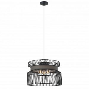 Подвесная люстра Favourite 2363-2P фото