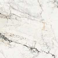 Керамогранит Lafaenza Ceramica Aesthetica AE PAO6 120 RM 120x120 фото
