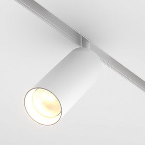 Светильник на шине Maytoni Technical TR032-2-20W3K-S-W фото