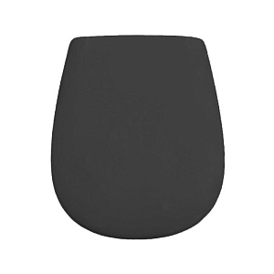 Artceram Atelier Сиденье для унитаза, микролифт, цвет: черный матовый фото