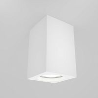 Потолочный светильник Maytoni Technical C011CL-01W фото