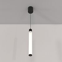Подвесной светильник Maytoni Technical P022PL-L10B фото