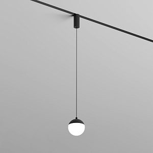 Светильник на шине Denkirs DK8056-BK фото