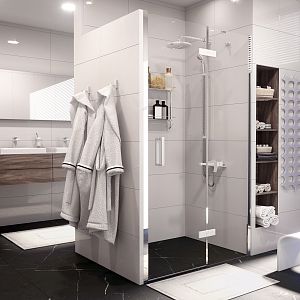 Wasserkraft Aller 10H05RWHITE Душевая дверь фото