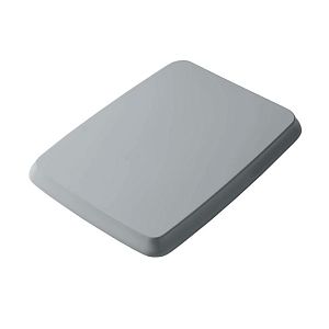 Artceram Civitas Крышка с сиденьем для унитаза, механизм soft-close, цвет: серый/золото фото