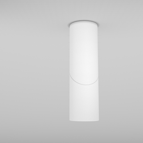 Потолочный светильник Maytoni Technical C027CL-L10W фото 5