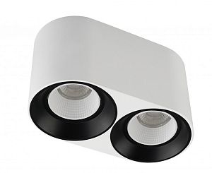 Накладной светильник Denkirs DK3096-WB+WH фото