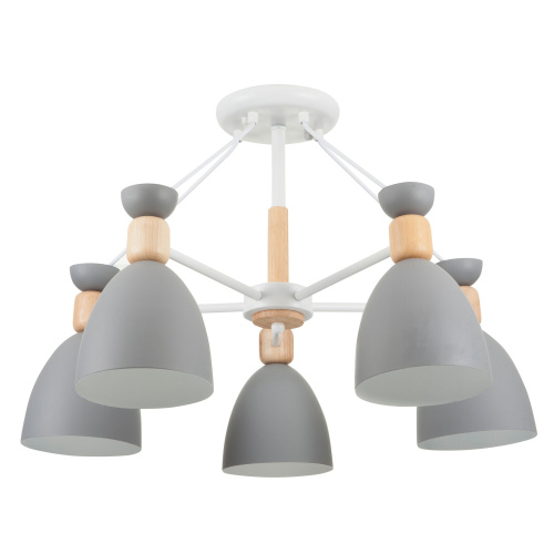 Потолочный светильник Freya FR5033CL-05W фото 3