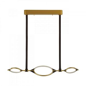 Подвесная люстра Odeon Light 4995/40L фото