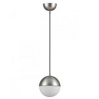 Подвесной светильник Odeon Light 4959/1 фото