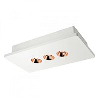 Накладной светильник LOFT IT OL1072-WG/3 фото