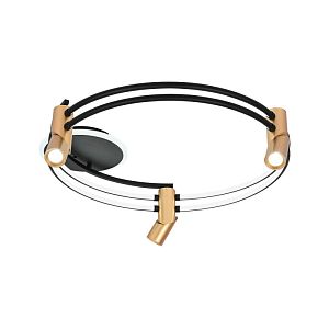 Накладная люстра Favourite 4071-3U фото