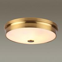 Накладной светильник Odeon Light 4824/4C фото
