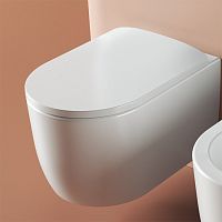 Artceram Monet Унитаз подвесной 36х52см, Rimless, цвет: белый матовый фото