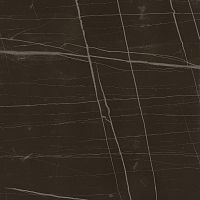 Керамогранит Lafaenza Ceramica Trex 60N RM Black 60x60 фото