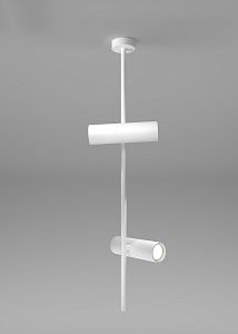 Потолочный светильник Maytoni Technical C021CL-02W фото