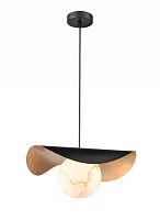 Подвесной светильник Vele Luce VL5734P11 фото