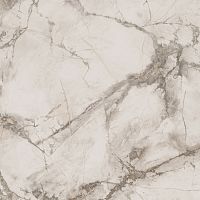 Керамогранит Ariana PF60004308 Epoque White Ret 60x60 фото