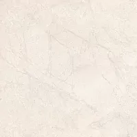 Глазурованный керамогранит Lafaenza Ceramica Blanco Blanco660WRm 60x60 фото
