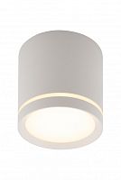 Накладной светильник Denkirs DK4016-WH фото