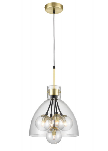 Подвесная люстра Vele Luce VL5904P25