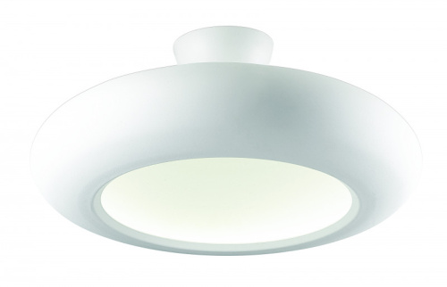 Накладной светильник Favourite 1526-12U