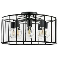 Люстра на штанге Lightstar 798287 фото