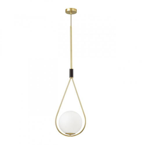 Подвесной светильник Odeon Light 4810/1A