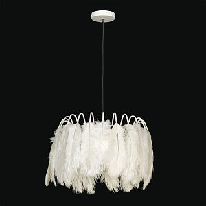 Подвесная люстра Lussole LSP-8600 фото