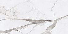 Керамогранит Ariana PF60004770 Epoque White Statuario Ret 60x120 фото