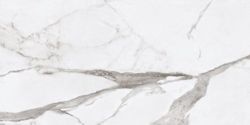 Керамогранит Ariana PF60004770 Epoque White Statuario Ret 60x120