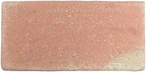 Керамогранит WOW Roots 128201 Cotto M 11х22 фото