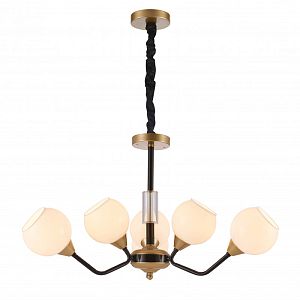 Подвесная люстра Favourite 2550-6P фото