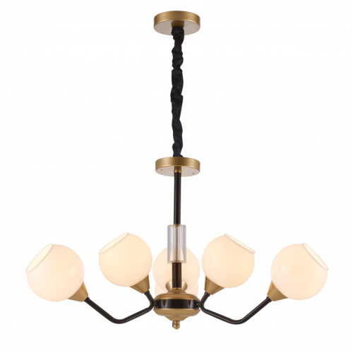 Подвесная люстра Favourite 2550-6P