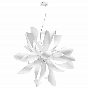 Подвесная люстра Lightstar 754266 фото