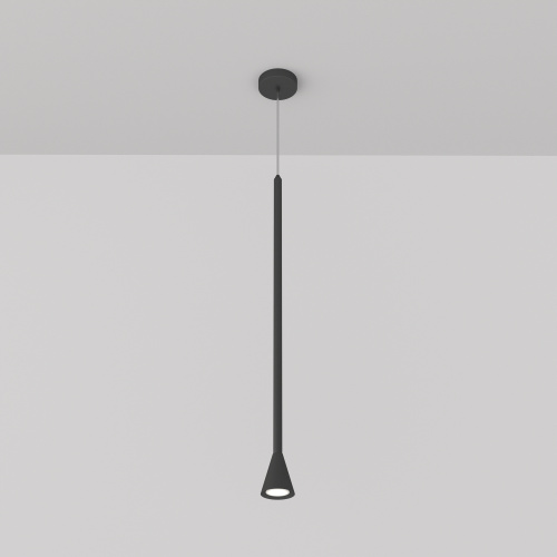 Подвесной светильник Maytoni Technical P064PL-01B