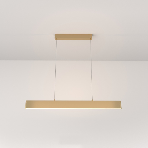 Подвесной светильник Maytoni Technical P010PL-L23G3K