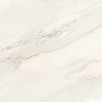 Керамогранит Imola Ceramica GNSG 60W RM 60х60 фото