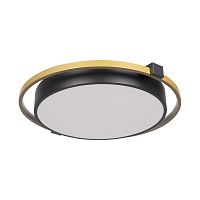 Накладной светильник LOFT IT 10170 фото