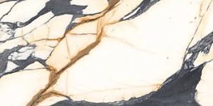 Керамогранит Imola The Room CalPi612Rm 60х120 фото